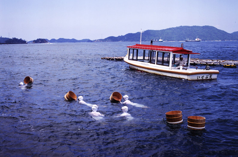 Mikimoto Pearl Island - Trip Out